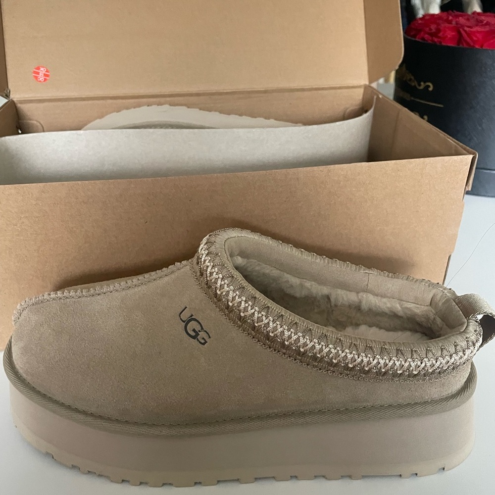 Tazz Ugg Slippers in Mustard Seed